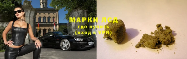 мяу мяу мука Баксан