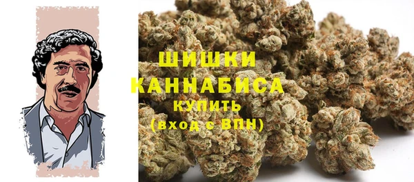 2c-b Бородино
