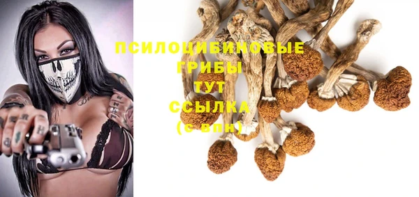 эйфоретик Балахна