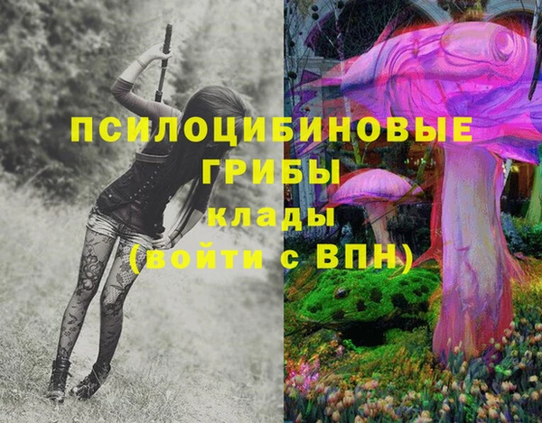 мяу мяу мука Баксан
