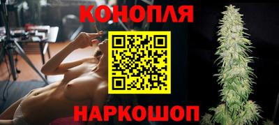 гидра Краснознаменск