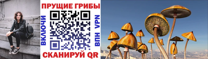 Галлюциногенные грибы Magic Shrooms  закладка  Кубинка 