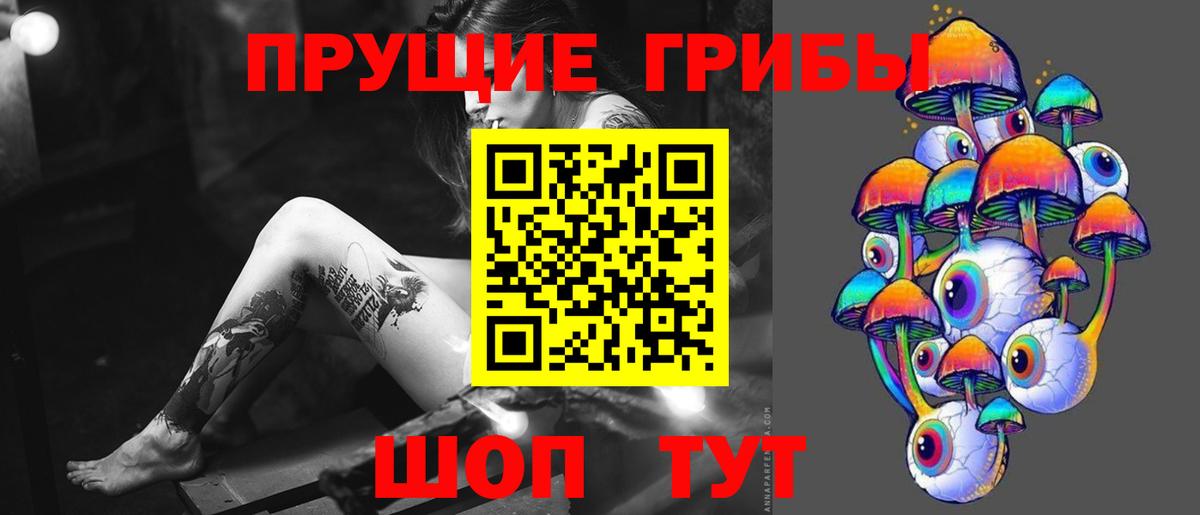 Кубинка  Псилоцибиновые грибы Psilocybine cubensis  Вход с VPN 