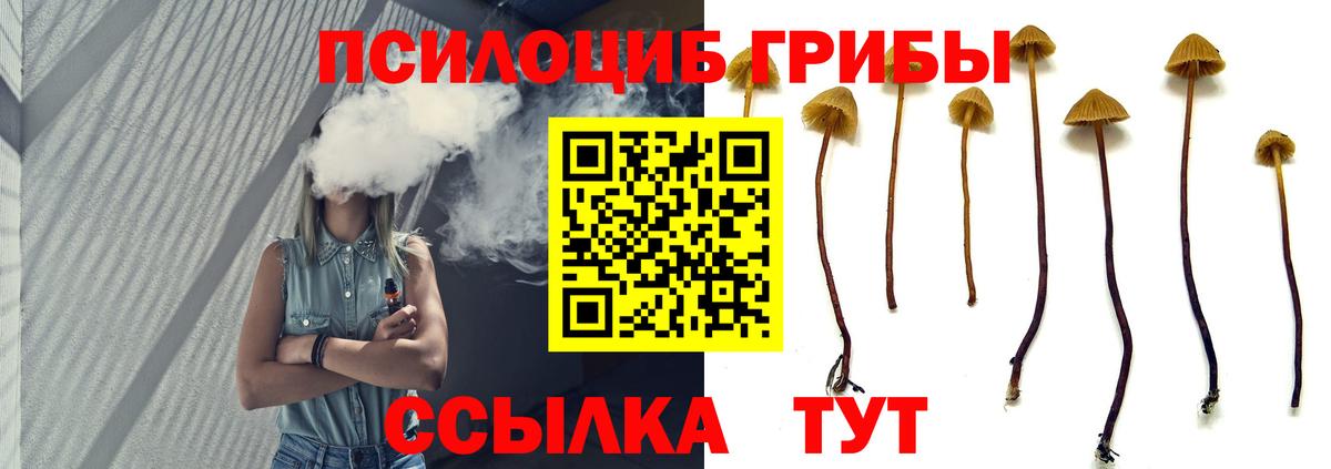 Псилоцибиновые грибы Magic Shrooms Кубинка